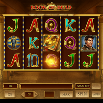 WildRobin - Book of Dead Slot Game - Play Now